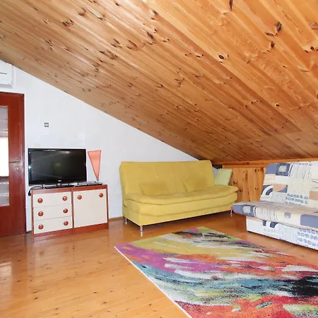 Darko 公寓 罗维尼