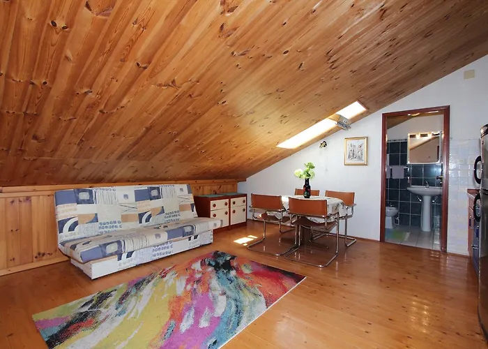 Apartment Darko Rovinj
